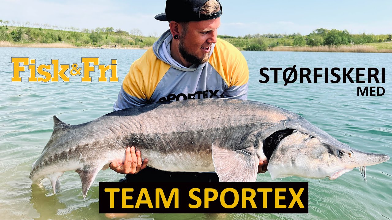 STØRFISKERI MED TEAM SPORTEX