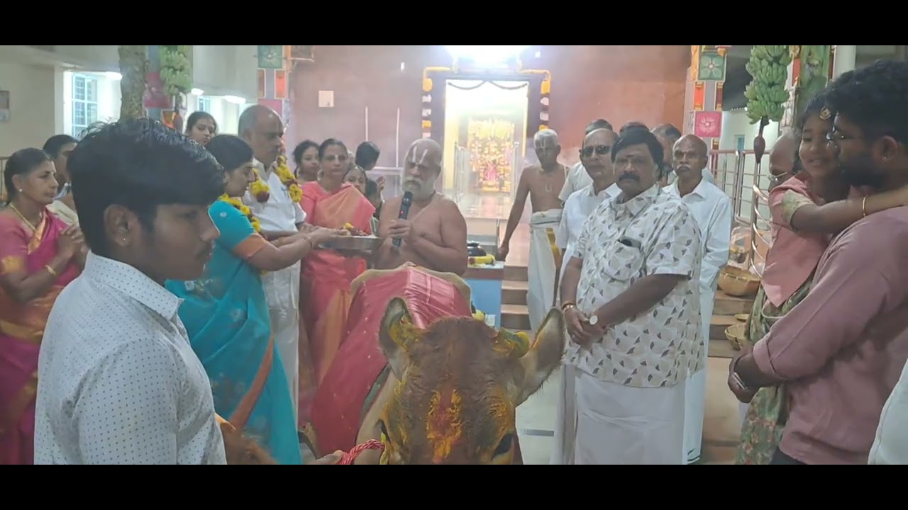 பொங்கல் விழா கோபூஜை