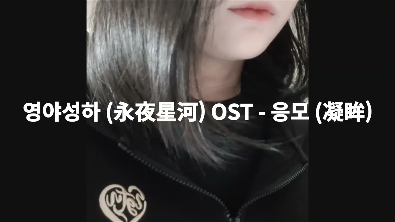 영야성하 (永夜星河) OST - 응모 (凝眸) 커버