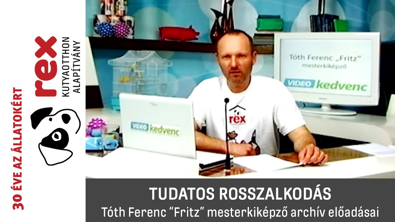 Tudatos rosszalkod&aacute;s