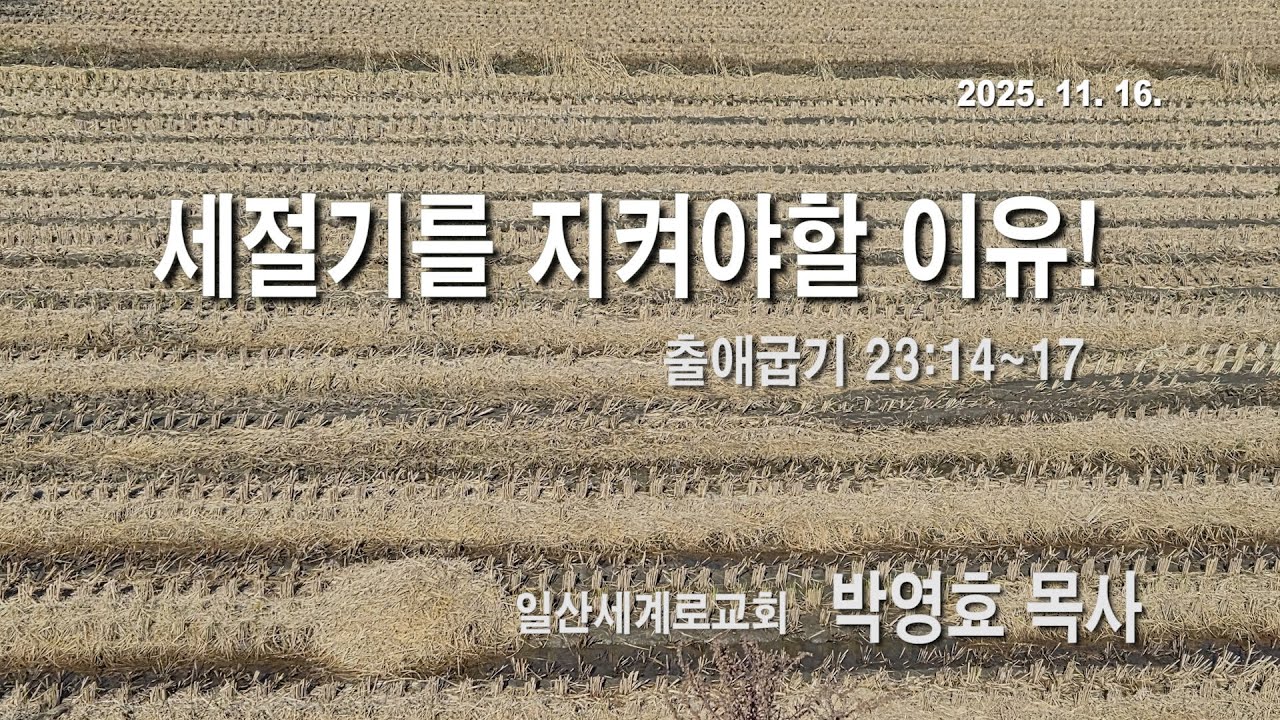2025년 11월 16일 주일설교 |