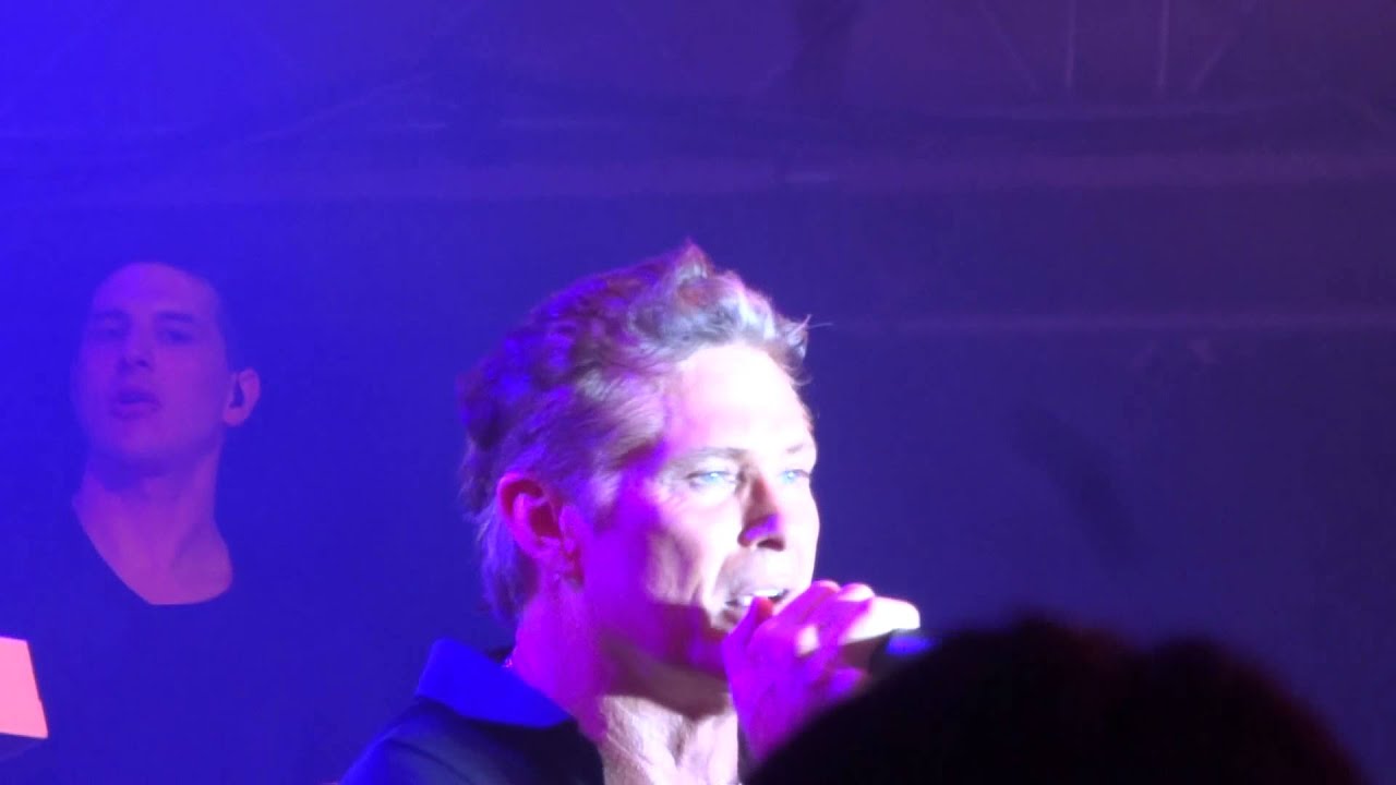 DAVID HASSELHOFF - 