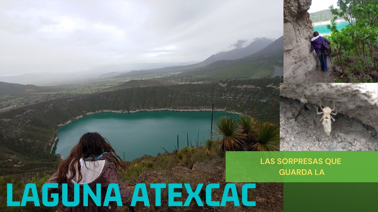 Grandes sorpresas en La Laguna de Atexcac: