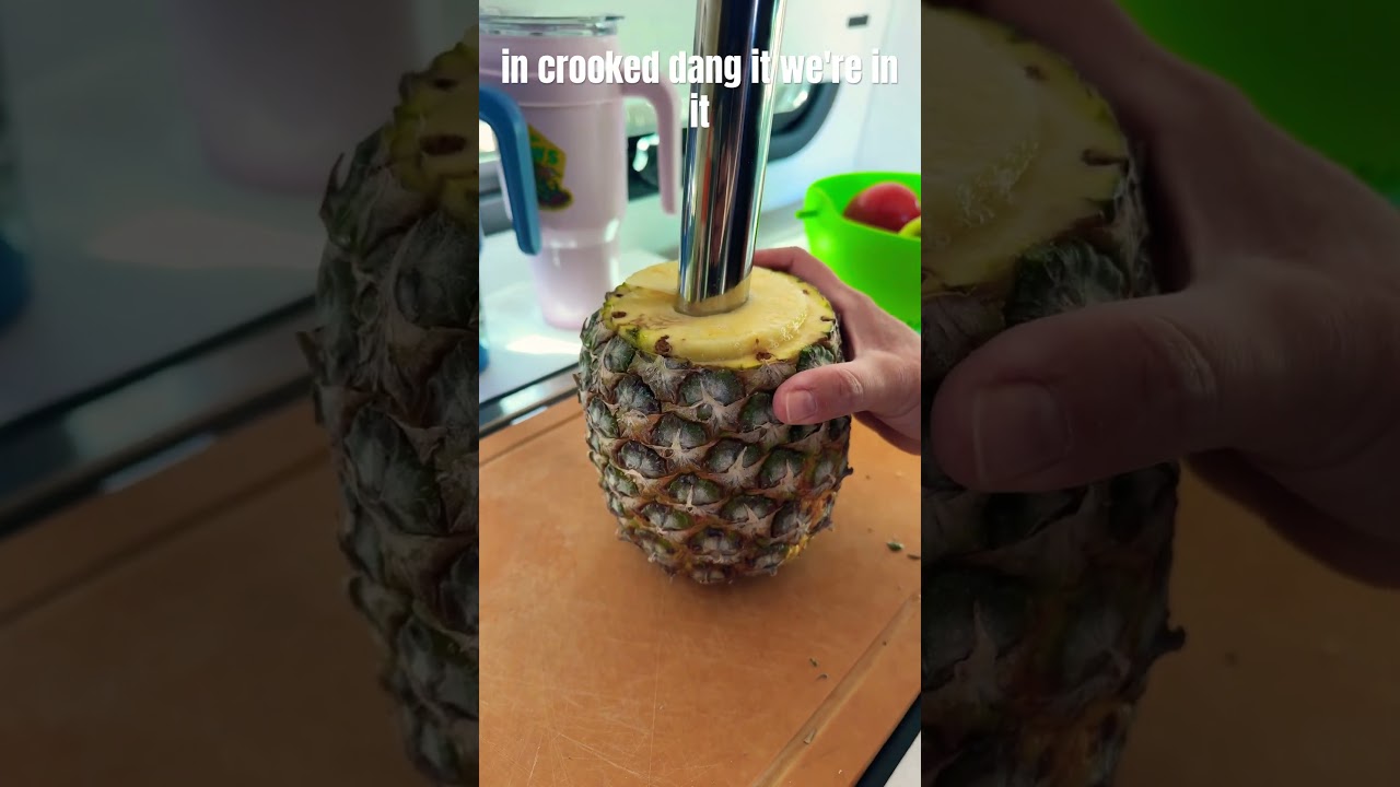 Pineapple slicer #boondocking #vanlifevoyages #rving #rvlife #fulltimerving