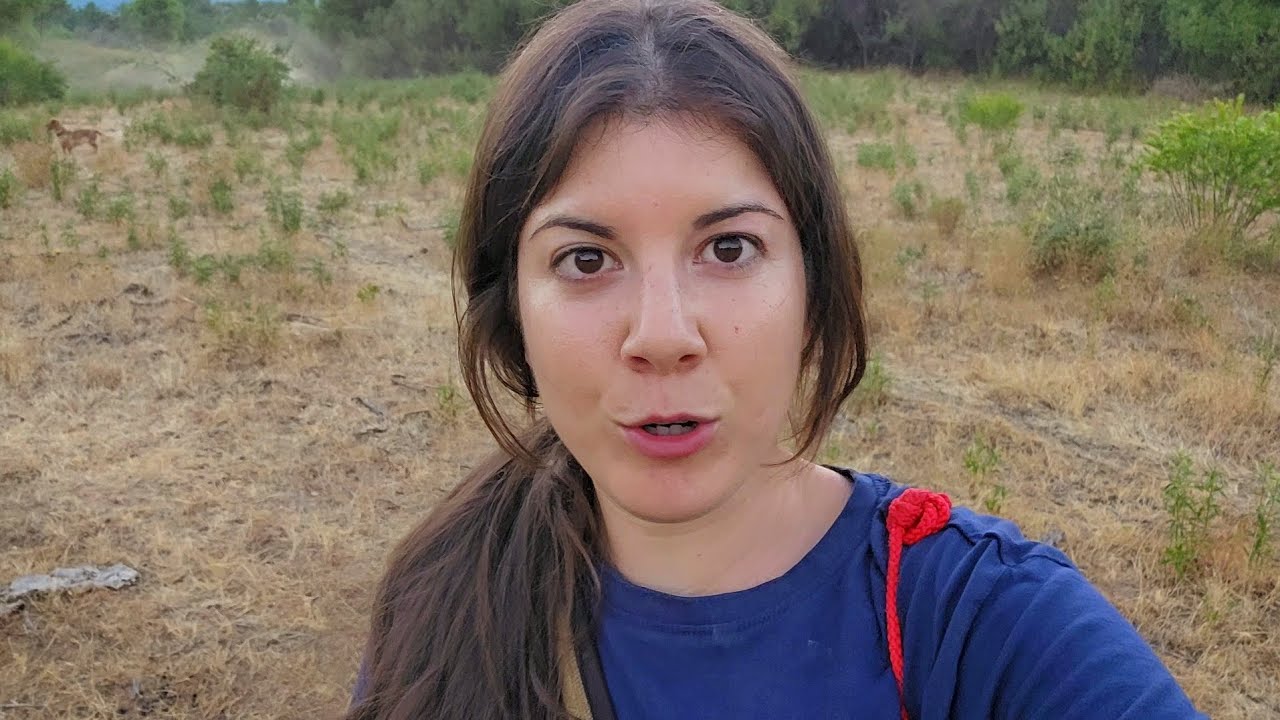 Voy de pastoreo, Kongo le pone las pilas al carea