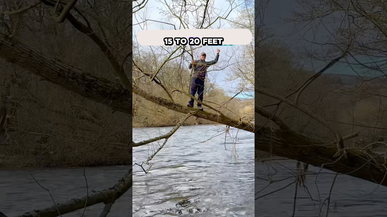 Никогда не воспринимайте безопасность как должное! #река #наводнение #наприроде #сельская местнос...