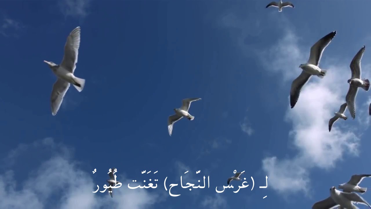 أمل العطاء