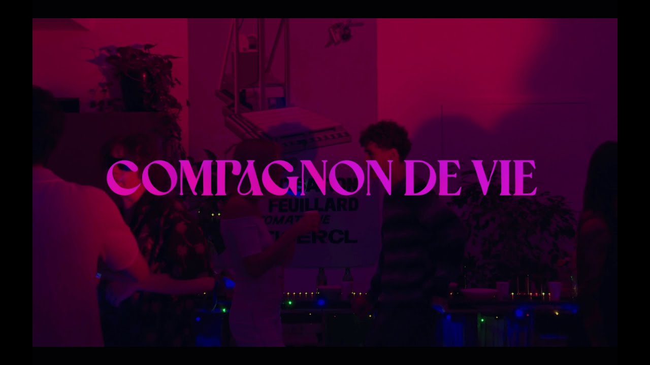 COMPAGNON DE VIE