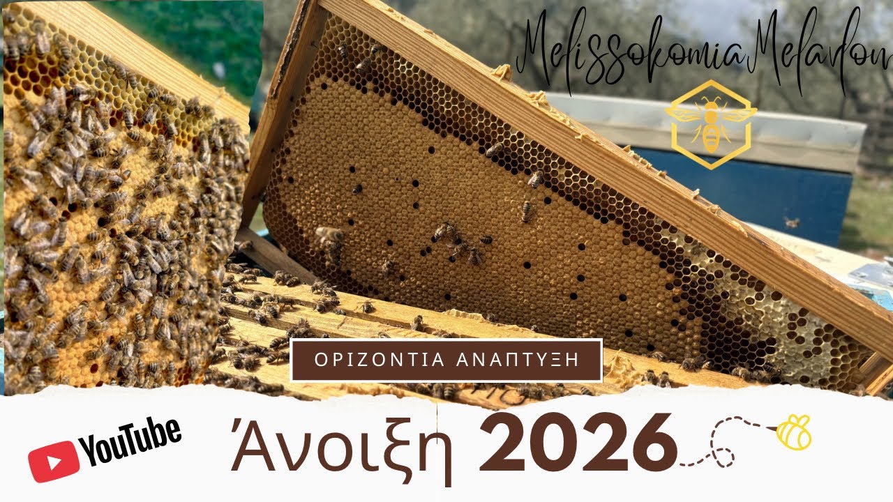 Αρχές Άνοιξης στα Μελίσσια 🐝 Οριζόντια Ανάπτυξη & Τροφοδοσία