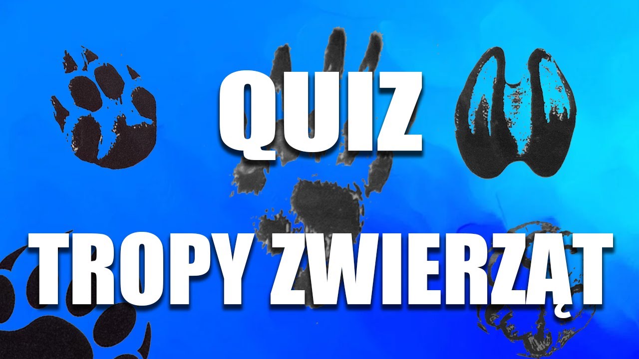 Tropy Zwierząt - Quiz przyrodniczy