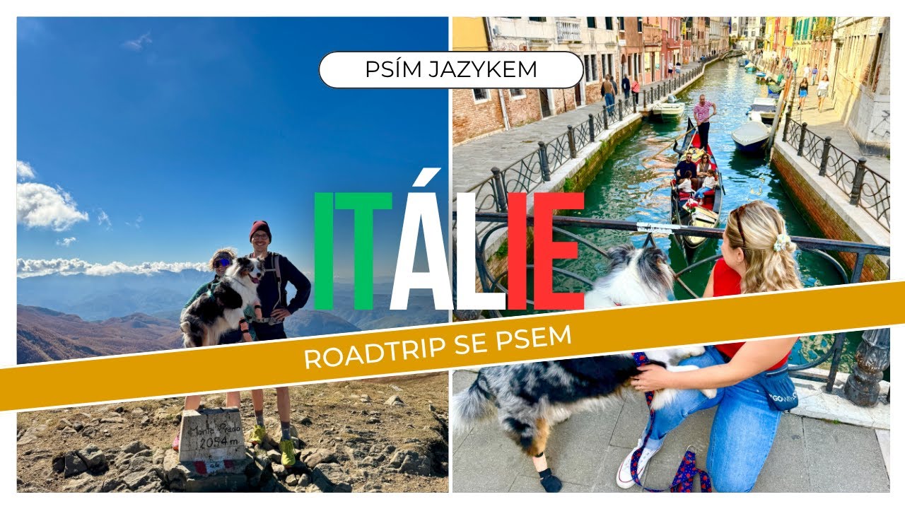 Psí roadtrip po Itálii! 🇮🇹 Benátky, Alpy, aperol!