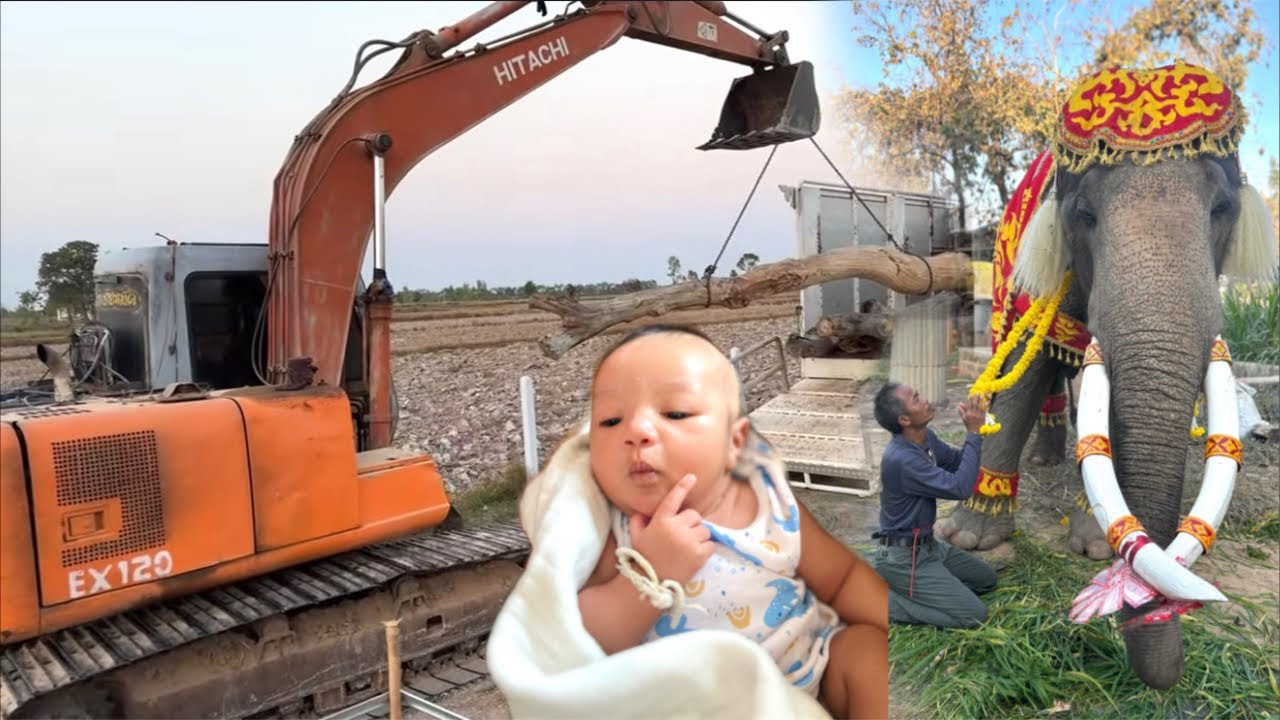 เปิดตลาดผลไม้ออนไลน์💵ร่วมสร้างบ้านพ่อใหญ่🙏