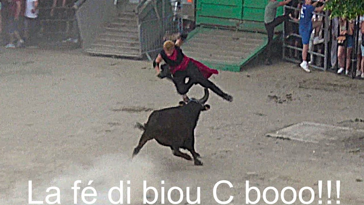 Alès ▶encierro - manades Conti et Agnel◀ 29.05.2025.