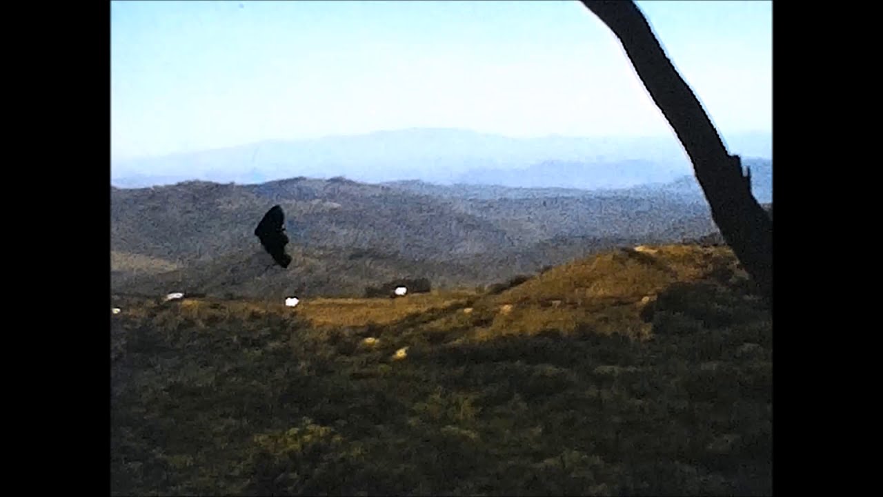 The Family Cinefilm Project Vumba National Park 1972 Reflecta Normal 8 Super 8 Cine Film Scanner