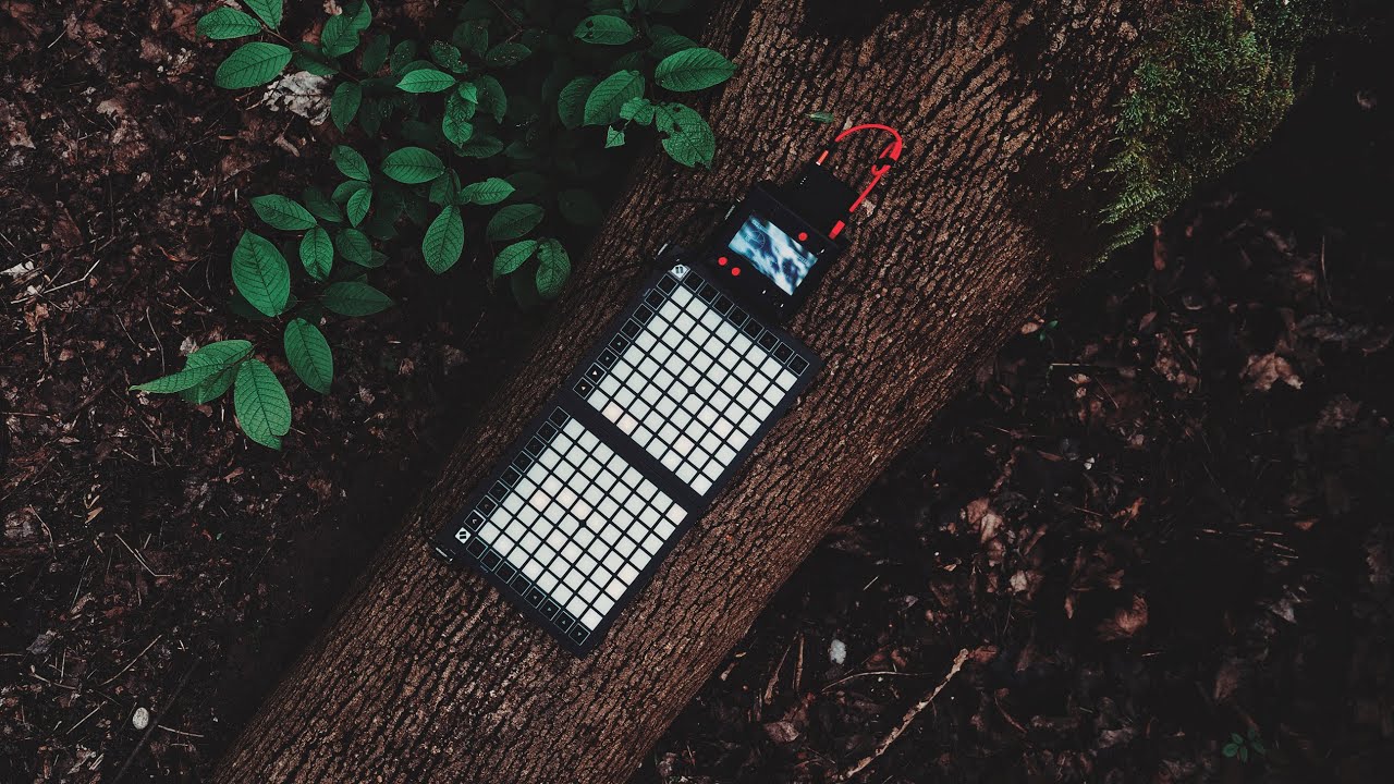 Monome Norns Arcologies In the Woods