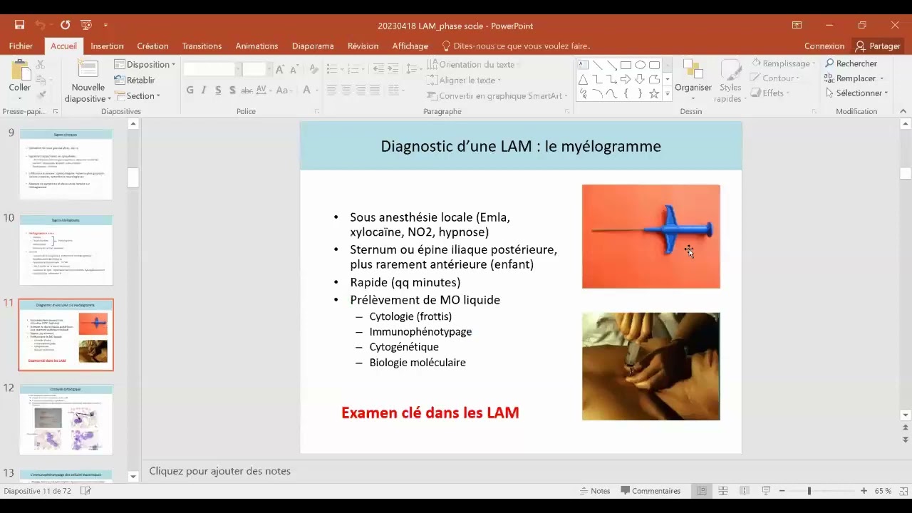 Phase socle 2022-2023 : LAM - Juliette LAMBERT