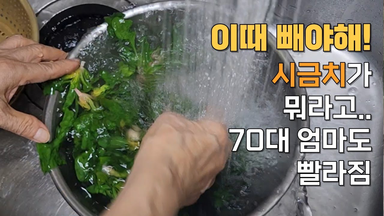 시금치 데치는데 엄마 손이 안 보여요.