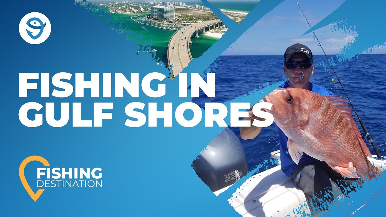 The Complete Guide to Fishing in Gulf Shores