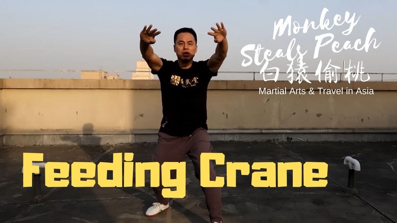Feeding Crane Kung Fu w/ Alex Xu - Masters of Fujian ep11