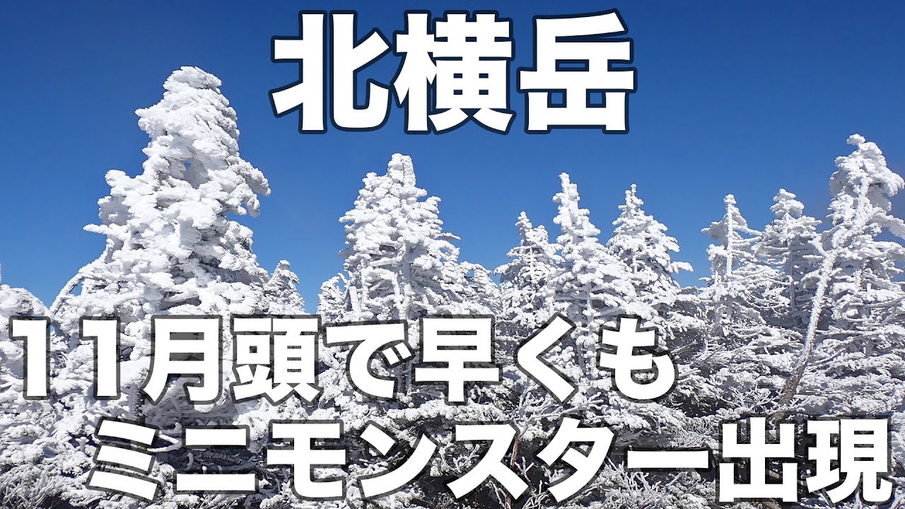 北横岳 2025年11月3日 11月頭で早くもミニモンスター出現