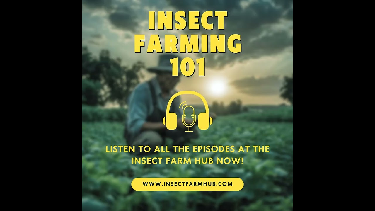 Insect Farm Hub Podcast Ep. 28: Black Soldier Fly Farming - Global Strategy for Sustainable Protein