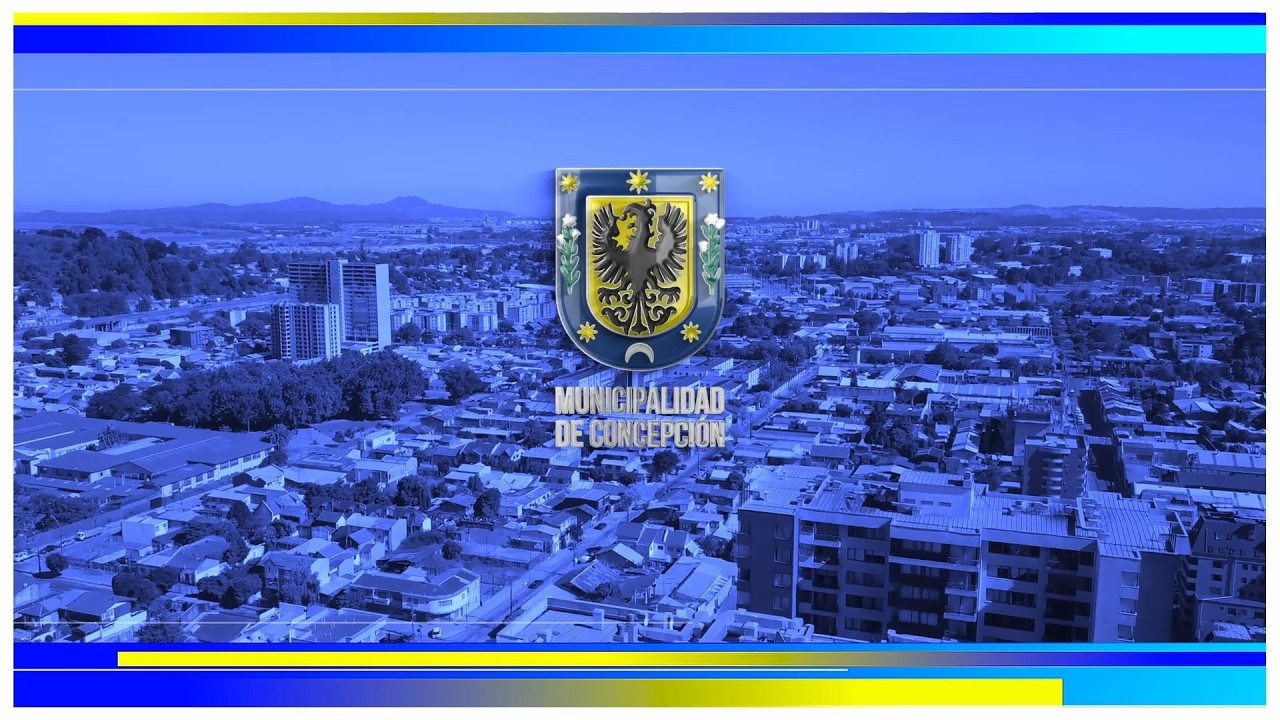 Concejo Municipal Sesión Ordinaria N°46 Municipalidad de Concepción Jueves 19 de Marzo