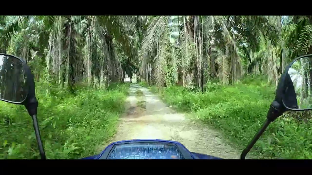 #berangan 6 #kampungku