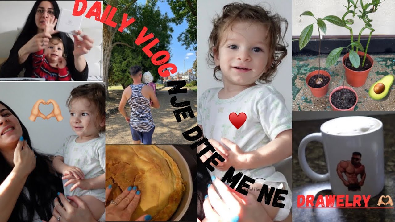 VLOG SHQIP🎥// Drawelry/Dhurata funny per Albanin/ Plani per pishina deshtoi/Nje avokado e vecante🥑