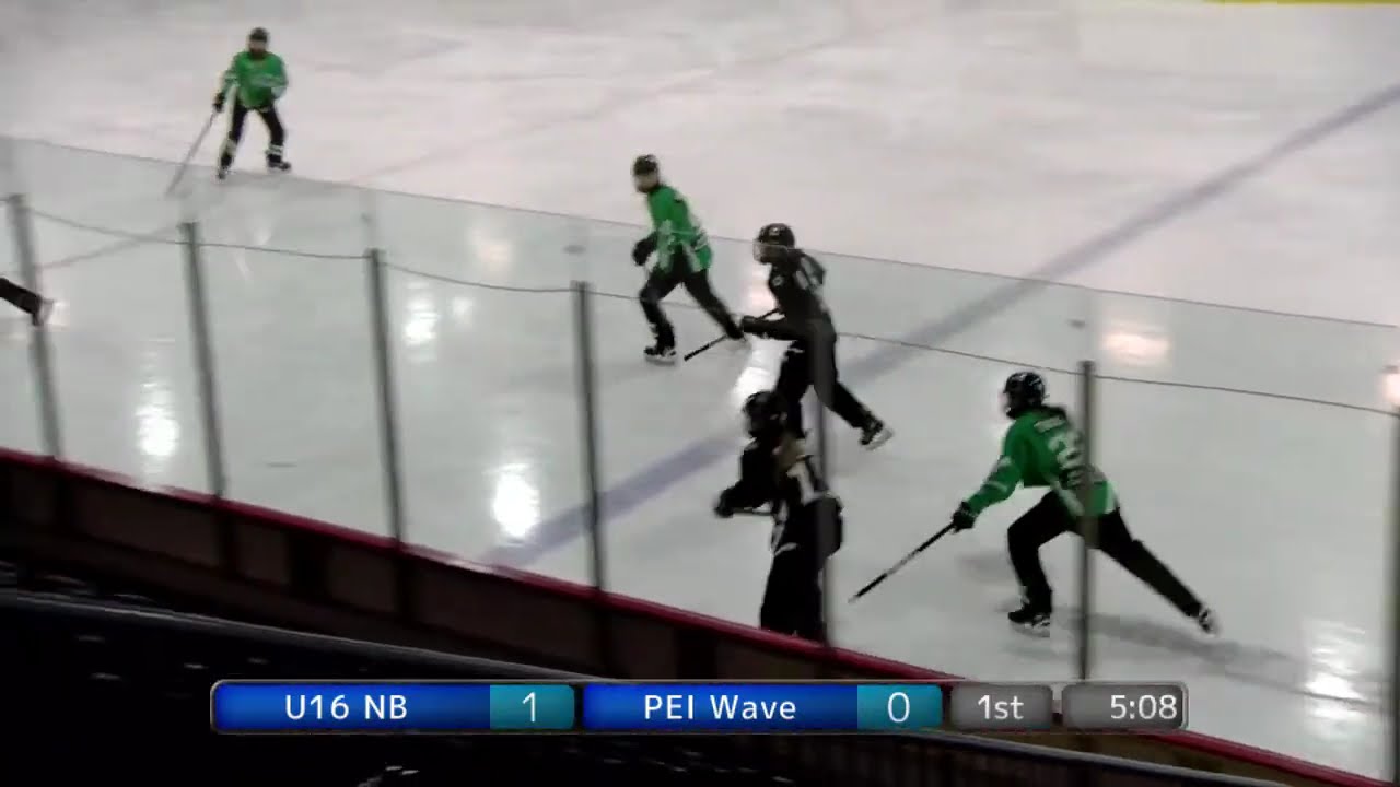 Dec 29 Game vs NB