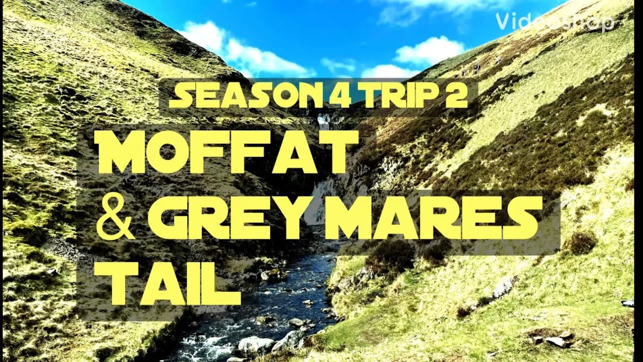 Season 4 trip 2 Moffat & grey mares tail