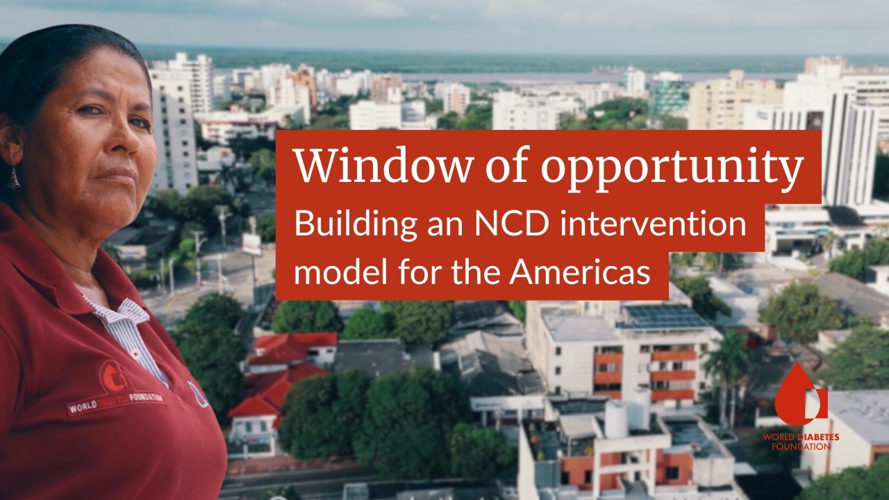 Windows of opportunity. Building an NCD intervention model for the Americas