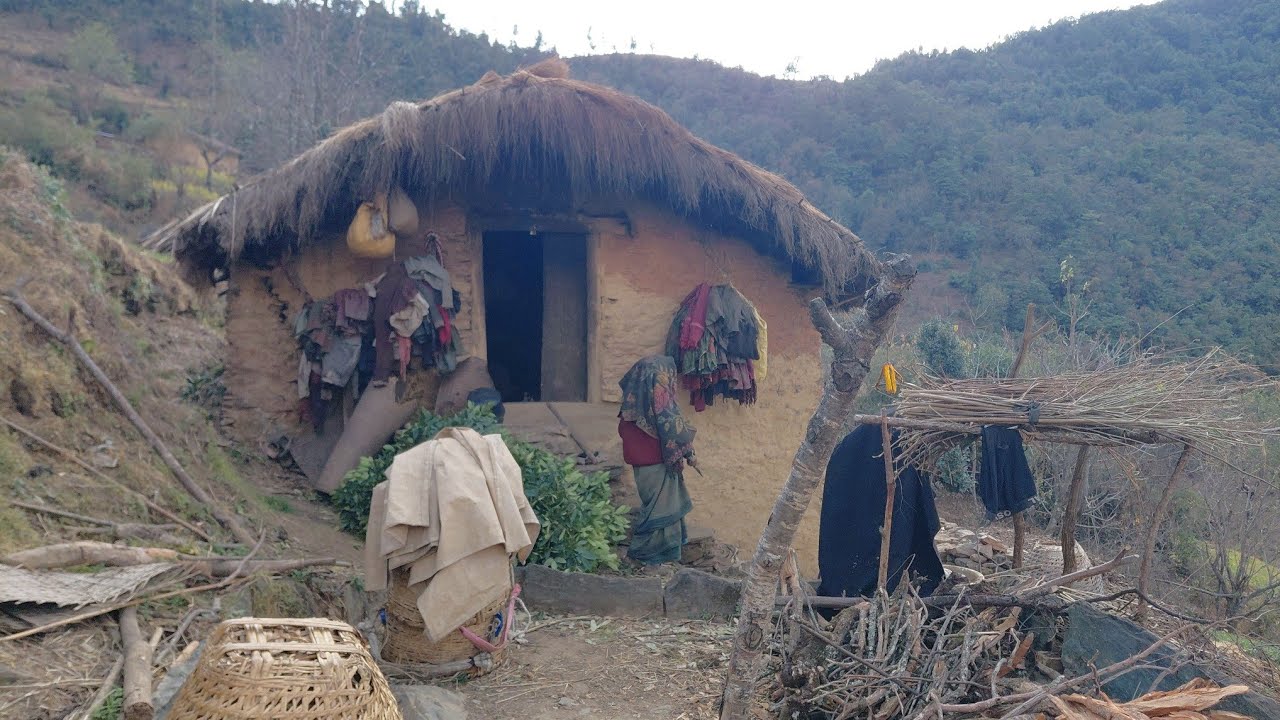 Cooking green chilies in the village ll village life