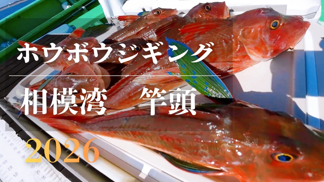 【ホウボウ釣り】相模湾｜ジギングで挑戦！｜仕掛け・投げ方｜2026.2.21