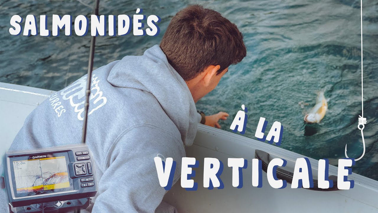 Des SALMONIDÉS en VERTICALE ! Pêche en verticale en lac [4k]