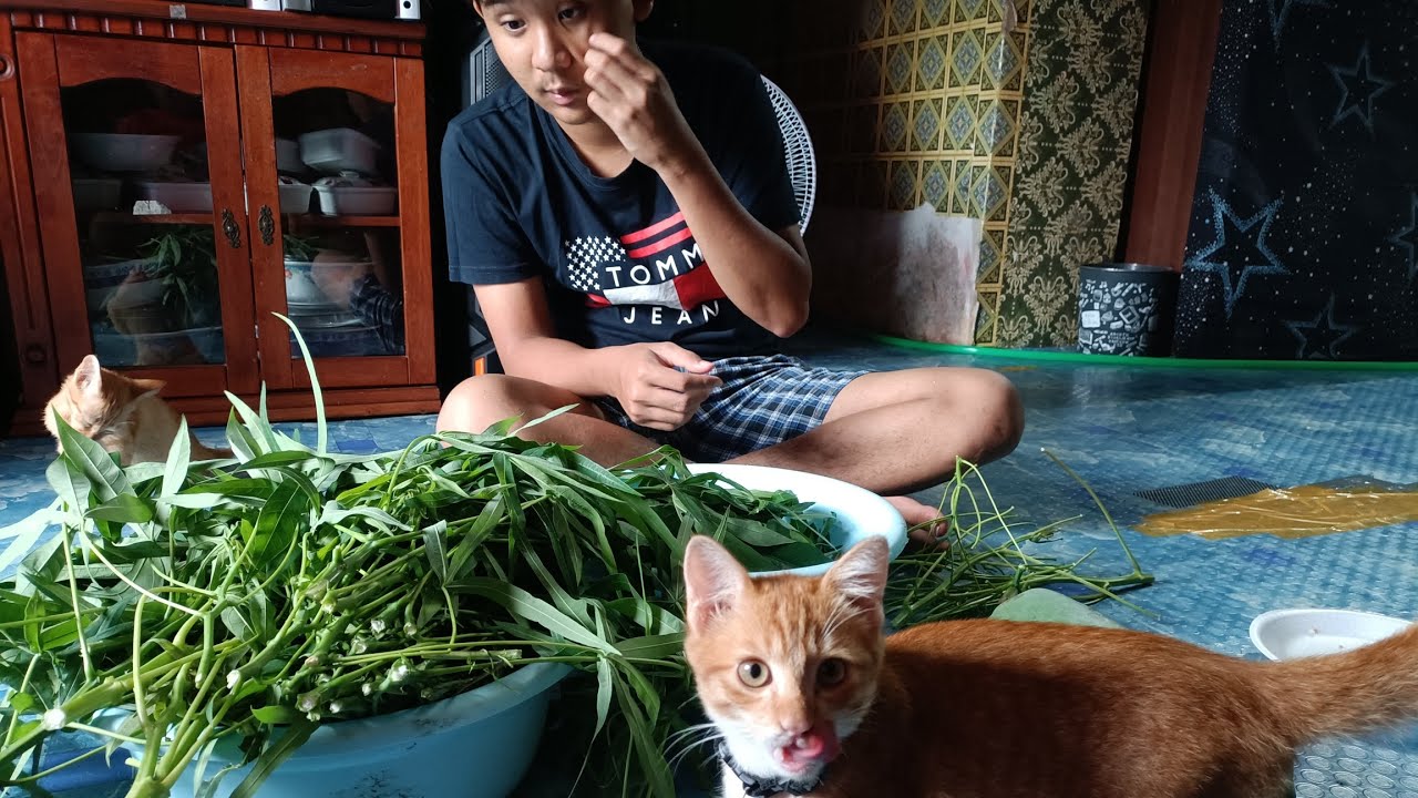 Jang@Aki Tolong Mami Masak2 Dirumah/Pansuh Geriang.