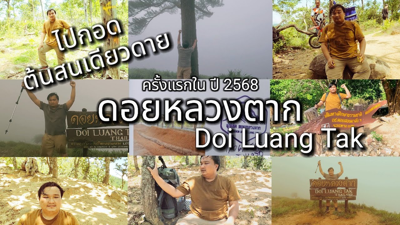 เดินป่าพิชิตดอยหลวงตากเป็นครั้งแรก จ.ตาก 🇹🇭