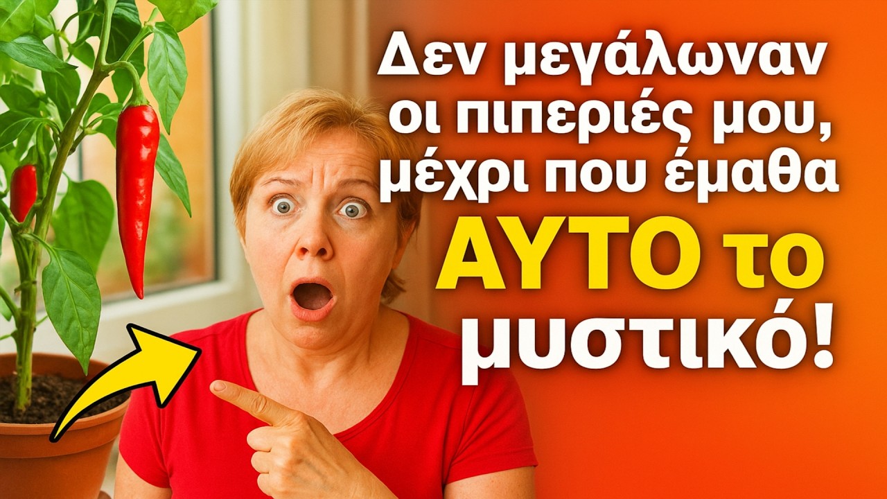 Δεν μεγάλωναν οι πιπεριές μου, μέχρι που έμαθα ΑΥΤΟ το μυστικό! Πλήρης οδηγός: Από τον σπόρο μέχρι