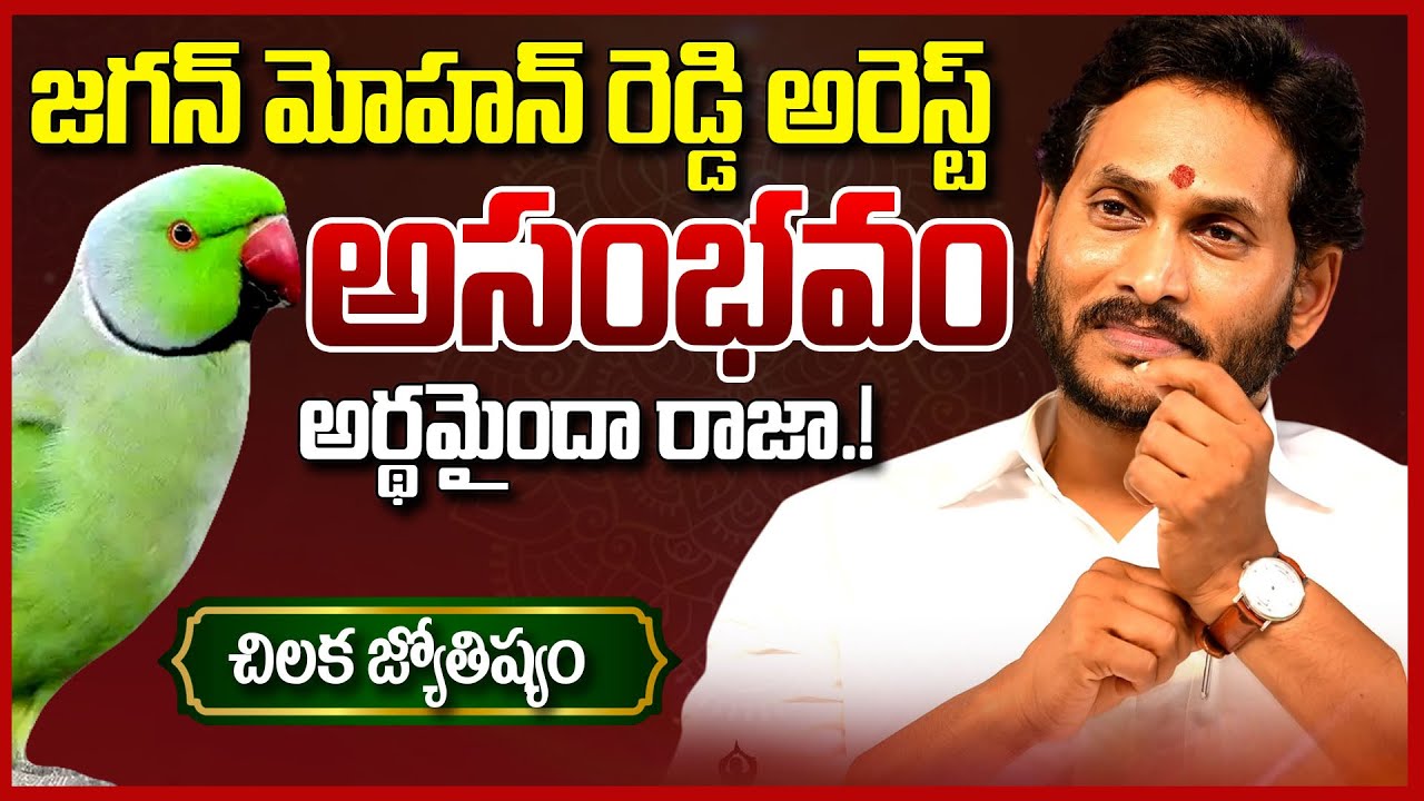 జగన్ అరెస్ట్ అసంభవం|| Parrot Astrology Prediction On 2029 AP CM | Chilaka Jyotsyam On YS Jagan || TR