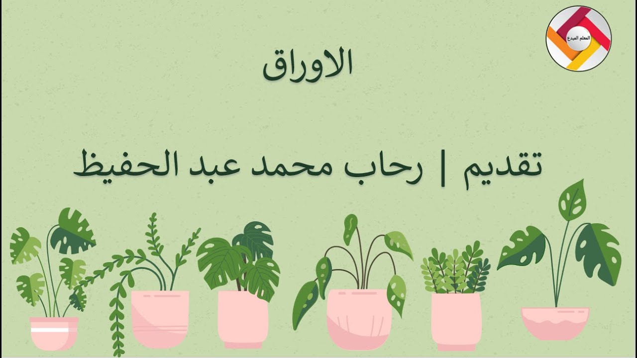 الاوراق | أحياء | قناة المعلم المبدع