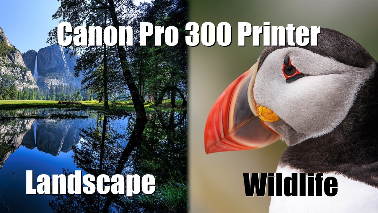 Canon Pro 300 Printer - printing and paper choice for Landscape and Wildlife prints