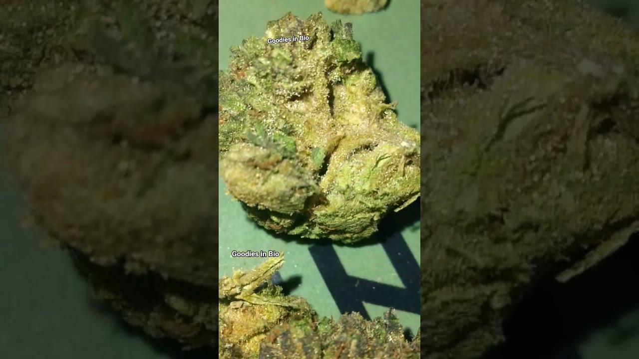 SFV OG from LUCKY ELK.     Thca Flower Review