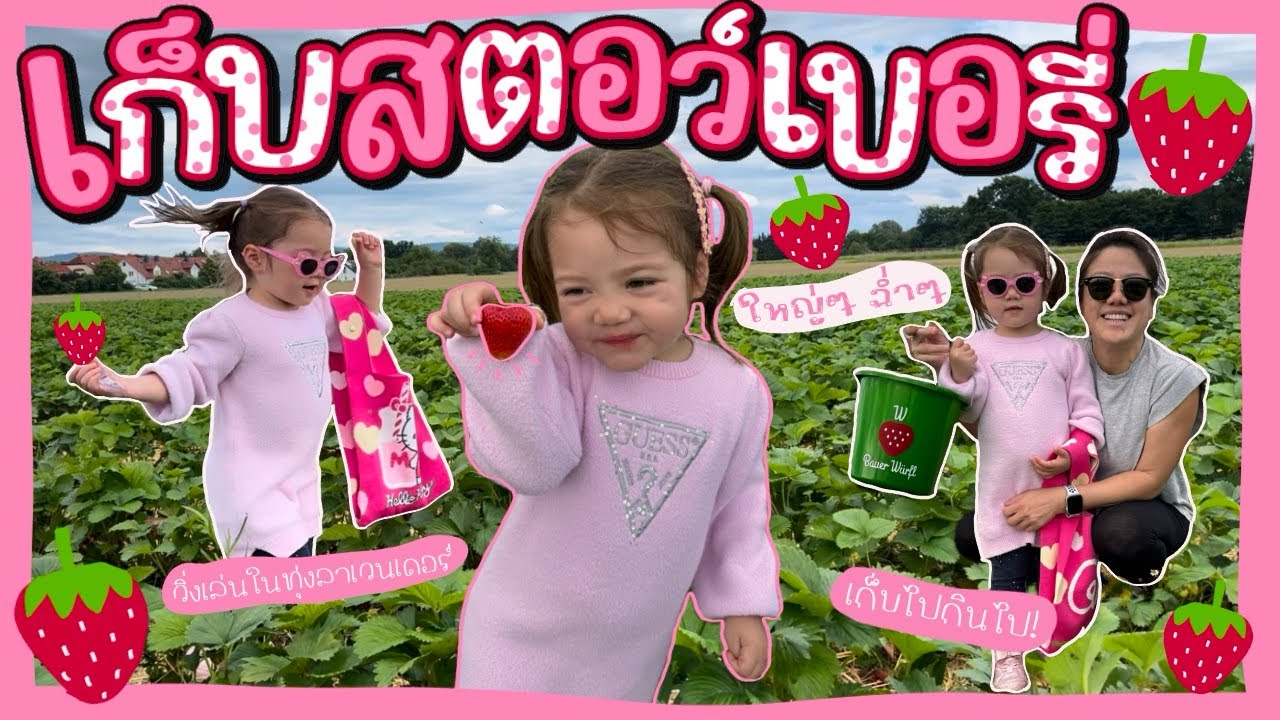 Ep.155 เก็บสตอว์เบอรี่ที่เยอรมัน🍓🇩🇪 มาเก้อ?!? #หวานฉ่ำ #ลูกใหญ่มาก #แม่บ้านเยอรมัน #ชีวิตในต่างแดน