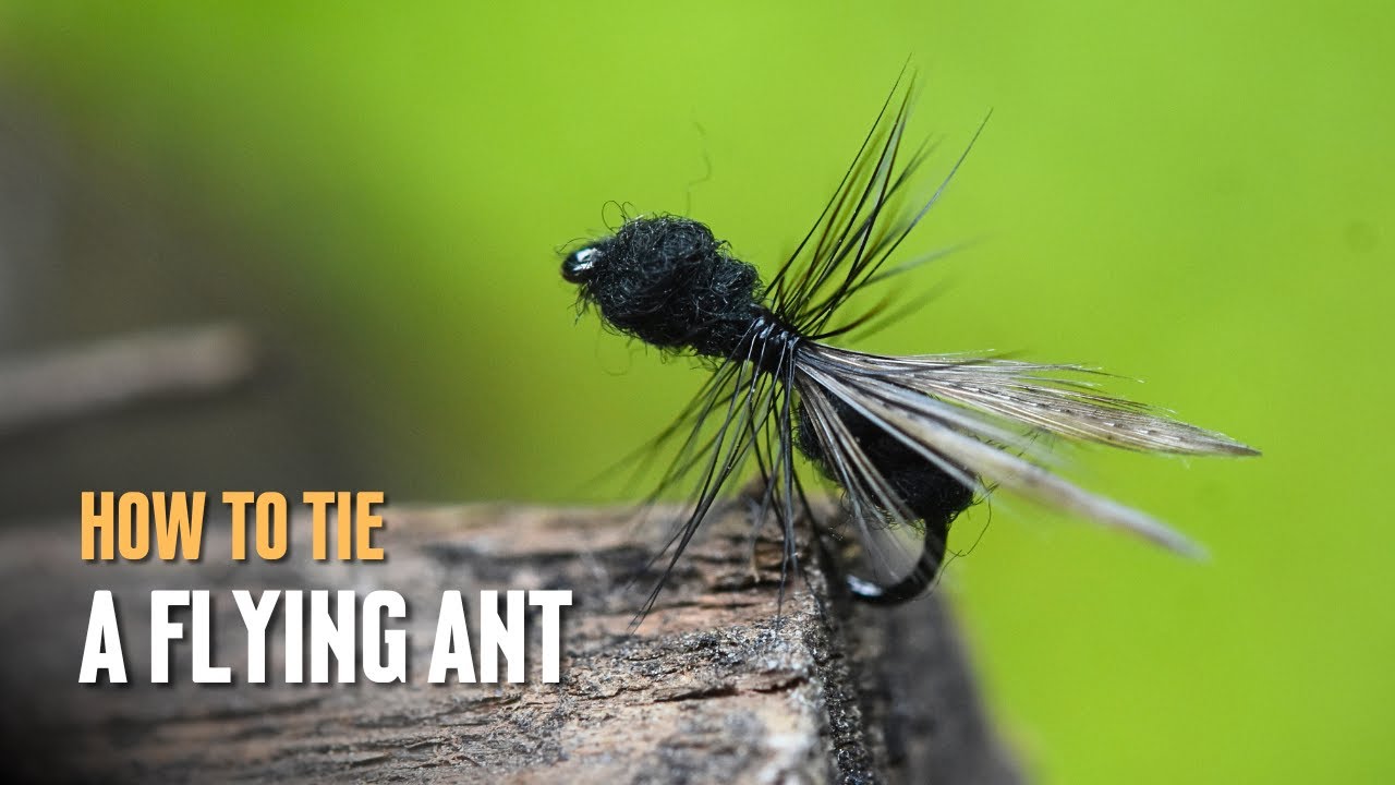 How to Tie A Flying Ant Fly Pattern
