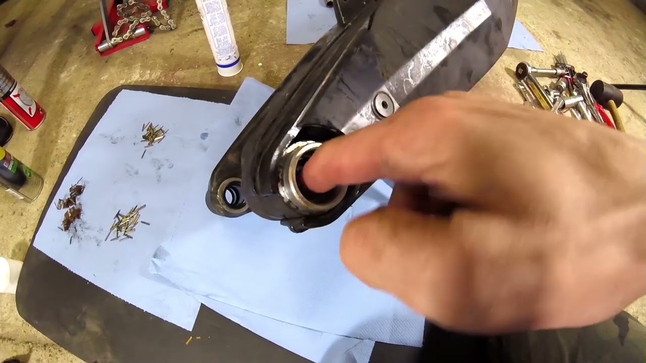 Yamaha XT660Z Tenere   Maintenance of swingarm