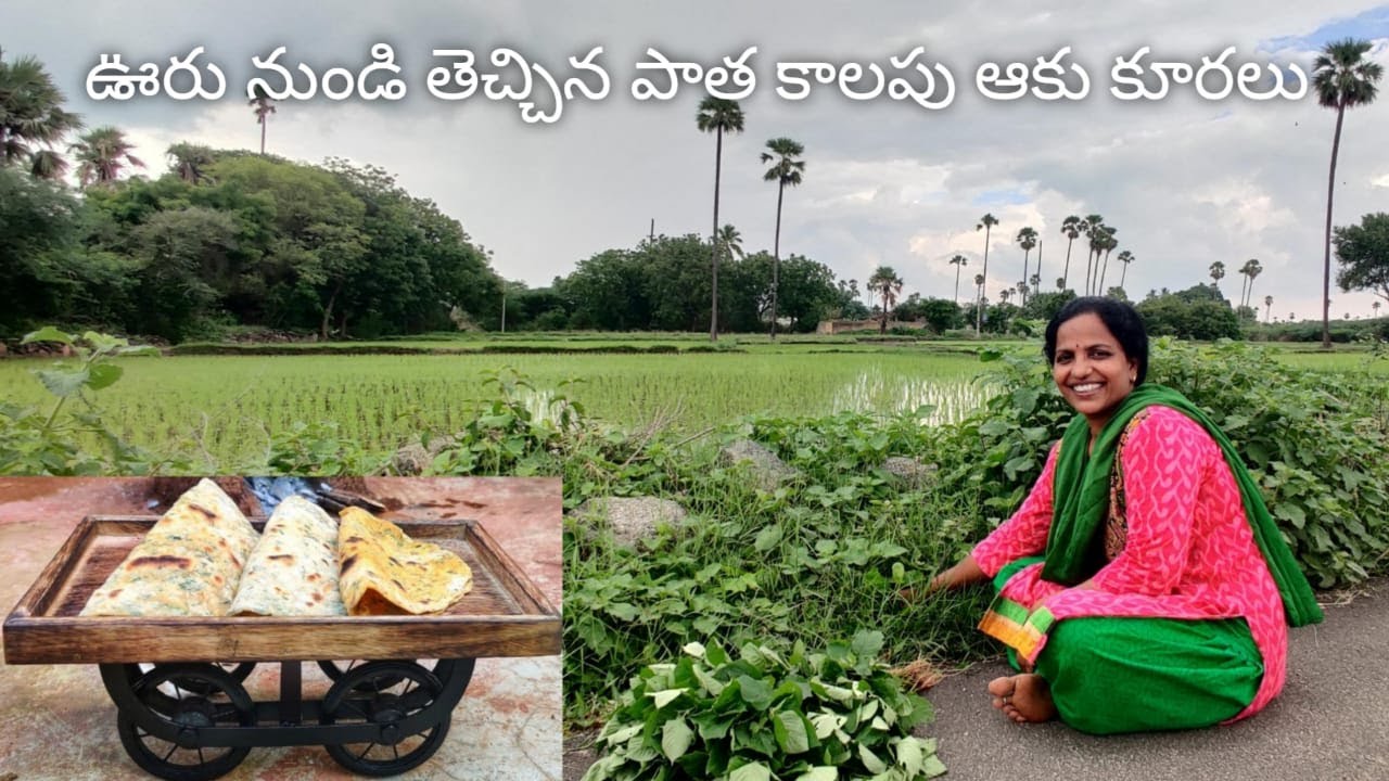 ఊరు నుండి తెచ్చిన ఆకుకూరలు,వాటితో చేసిన చపాతీలు-Uttareni/KondaPindi/Bankoti/Bhringaraja/Chakravarthy