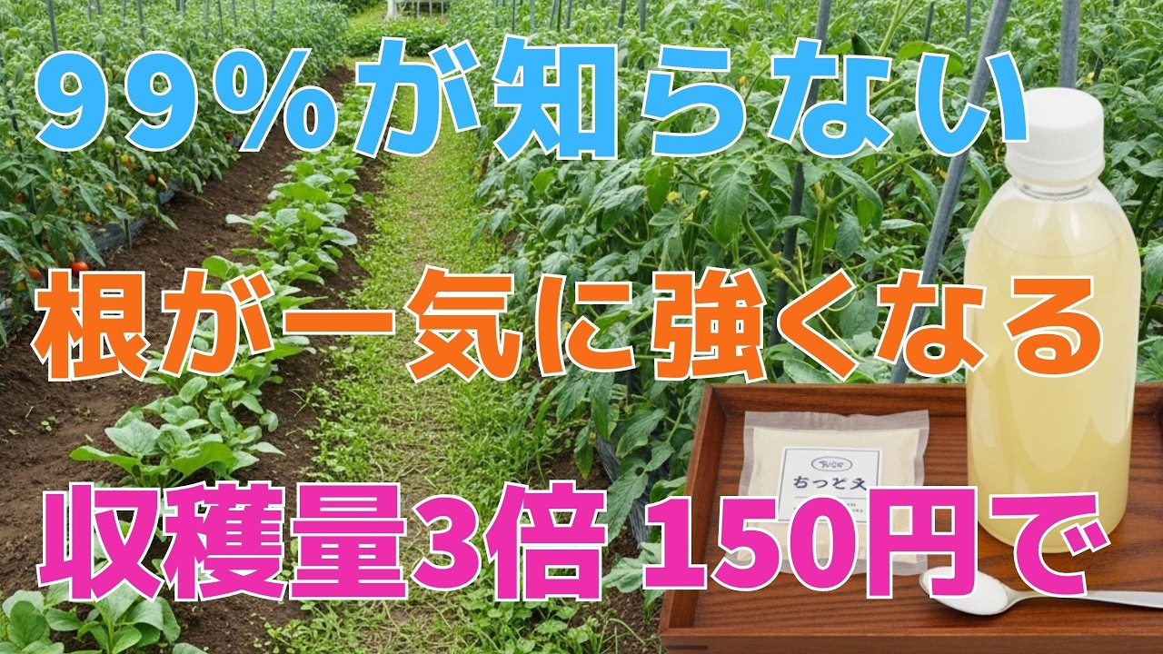 【99%の家庭菜園はこれを知るべき】これを混ぜるだけで根が狂ったように爆発！収穫3倍増を約束する「魔法の一滴」  雑草対策