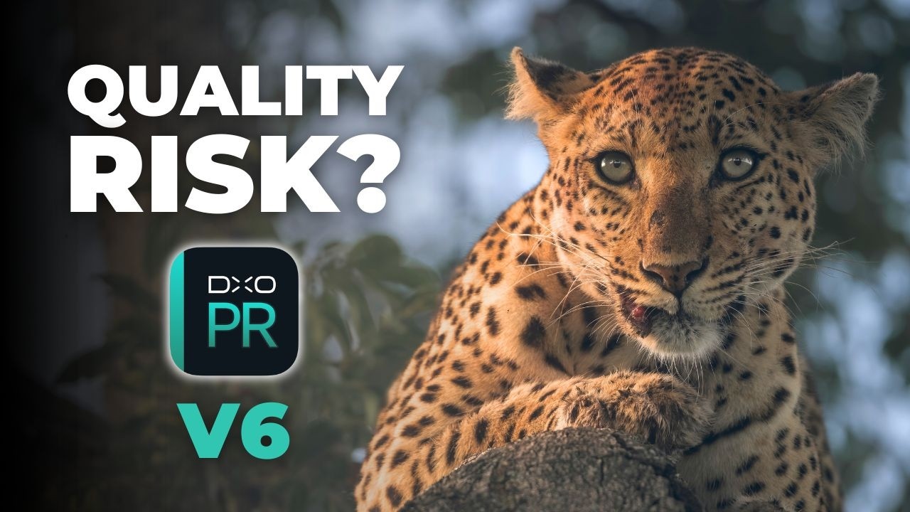 Я этого не ожидал в DxO PureRAW 6