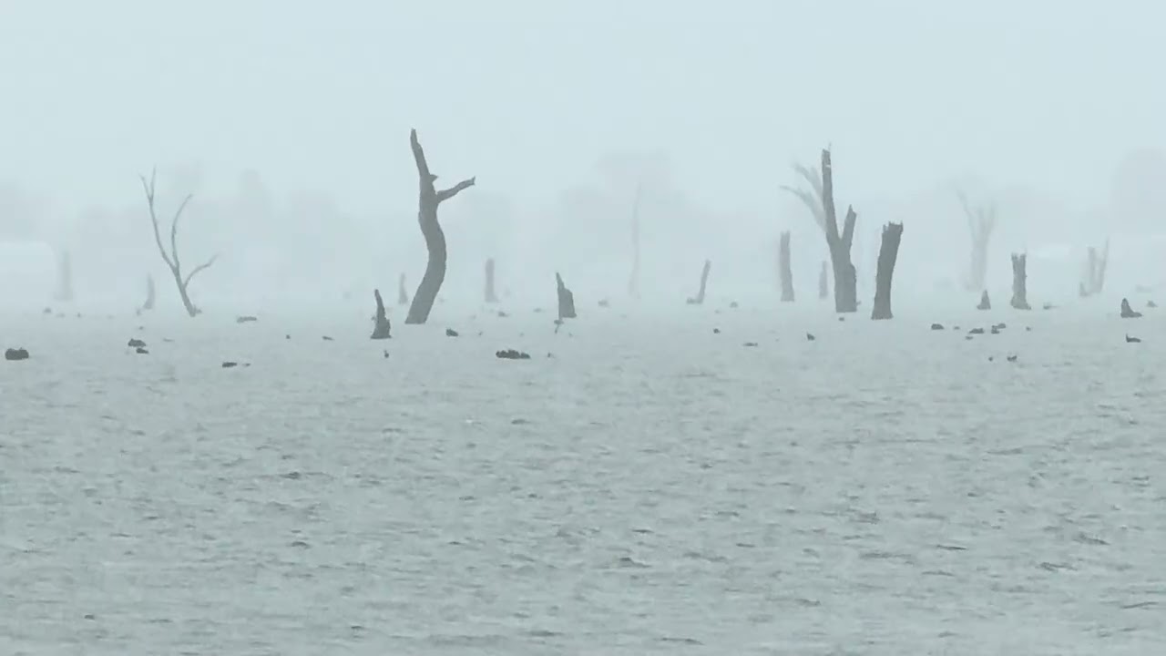 Rain For Sleep - Somewhere In The World (28)