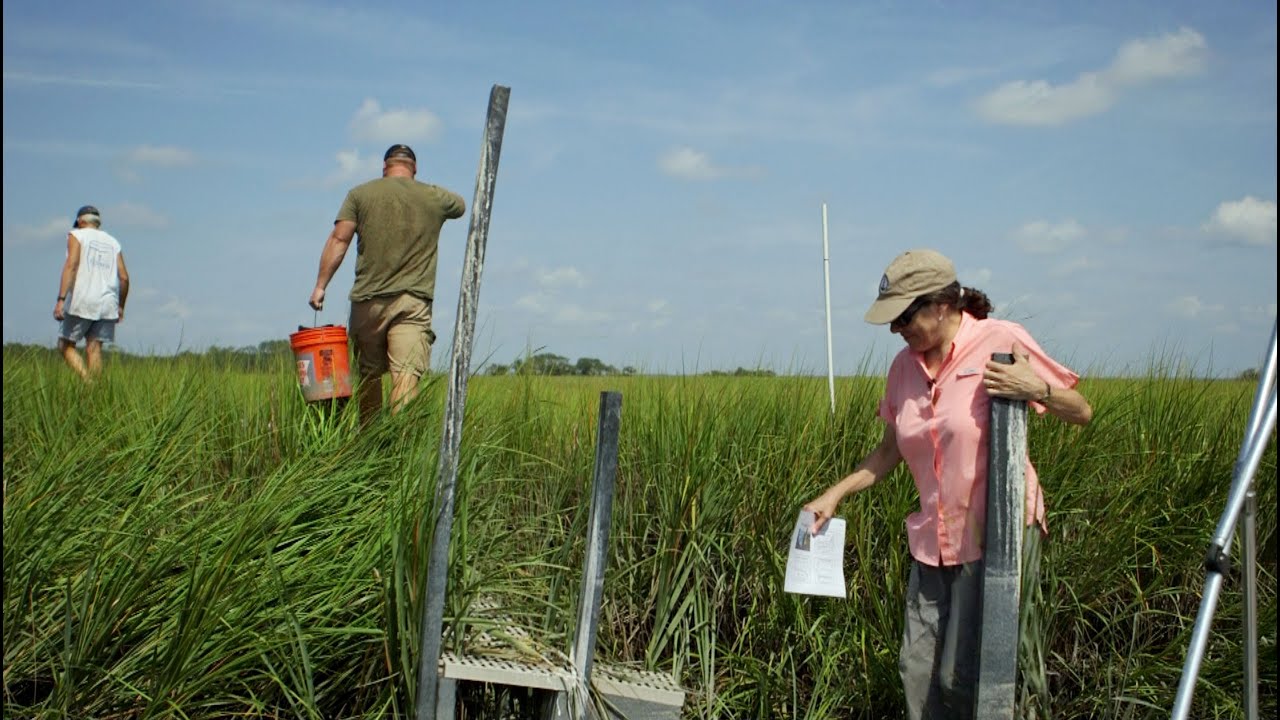 Testing the limits of saltwater intrusion