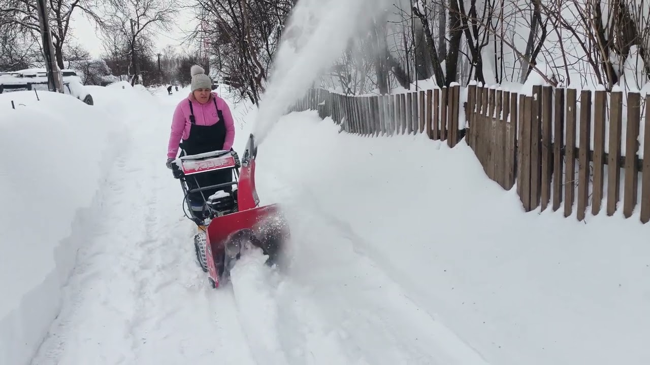 1 марта 2026 г.